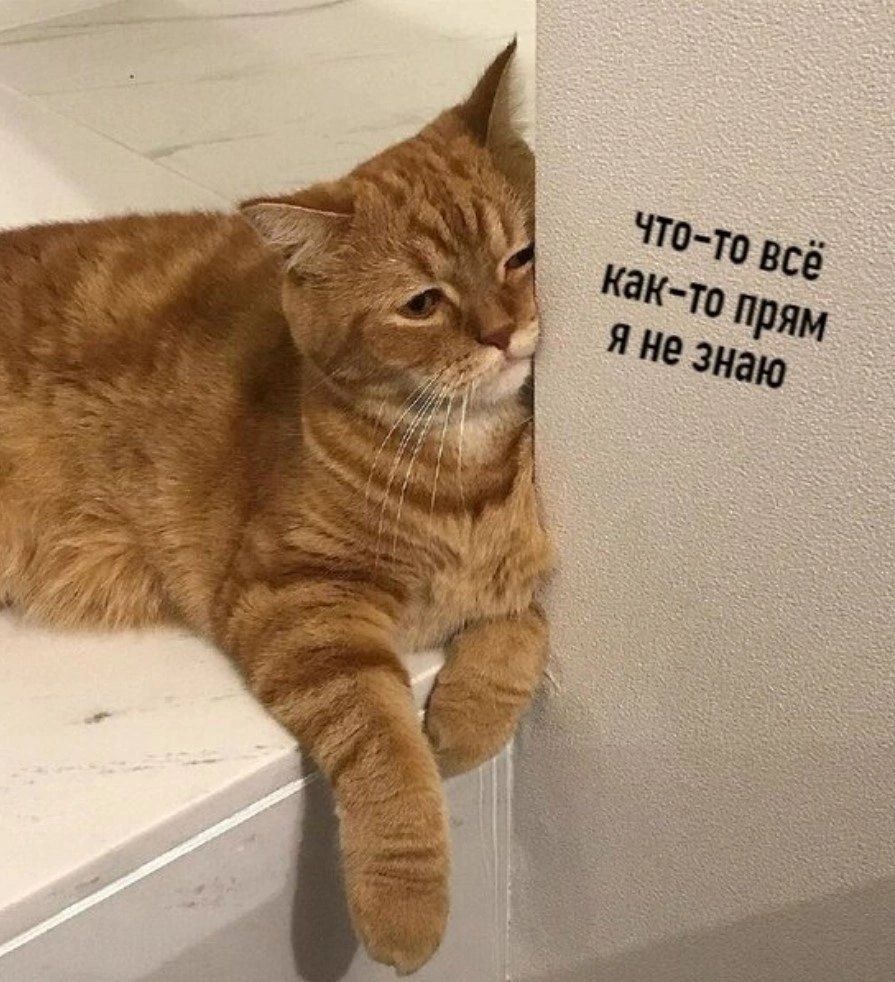 ЧТО-ТО ВСЁ КАК-ТО ПРЯМ Я НЕ ЗНАЮ