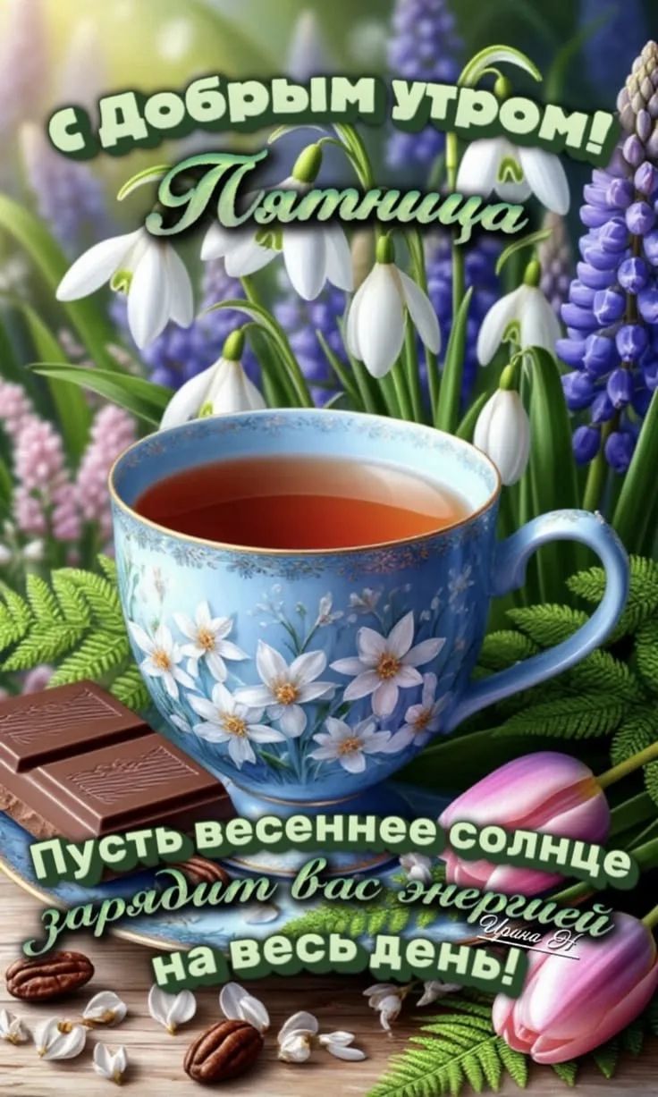 С добрым утром! Пятница. Пусть весеннее солнце зарядит вас энергией на весь день!