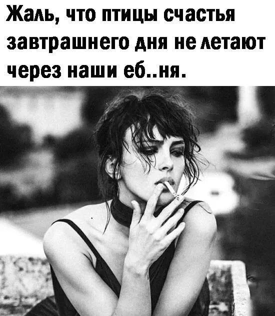 Жаль, что птицы счастья завтрашнего дня не летают через наши еб..ня.
