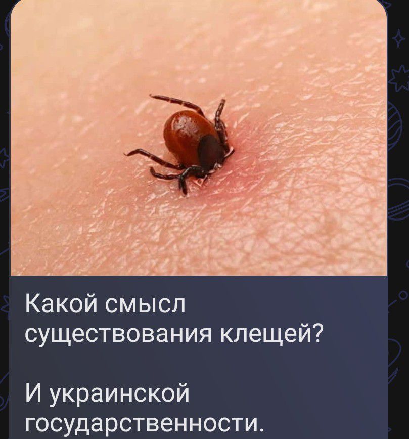 Какой смысл существования клещей? И украинской государственности.