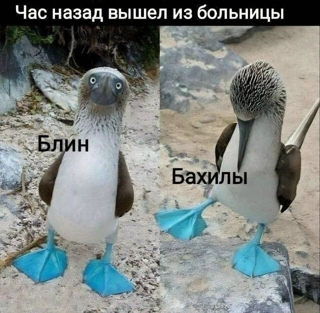 Час назад вышел из больницы Блин Бахилы