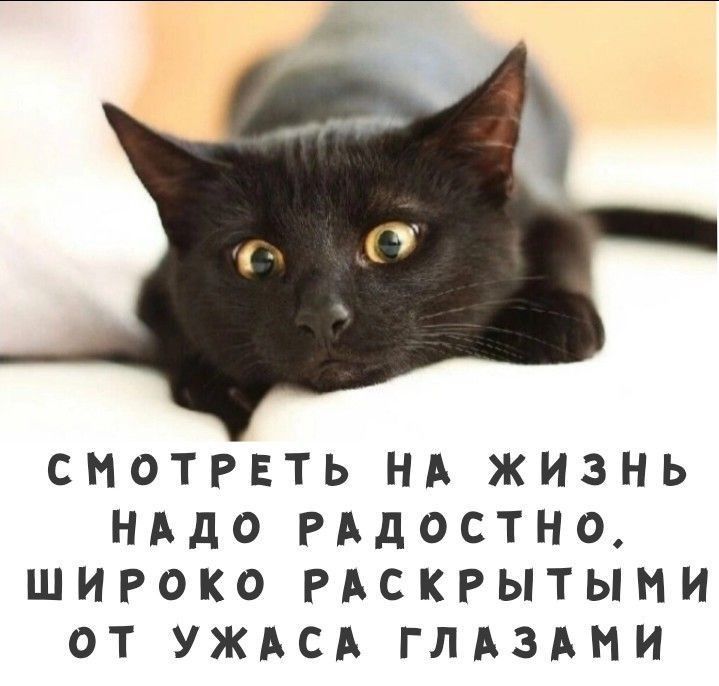 Смотреть на жизнь надо радостно, широко раскрытыми от ужаса глазами