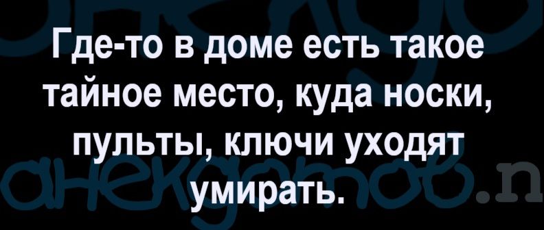 Где-то в доме есть такое тайное место, куда носки, пульты, ключи уходят умирать.