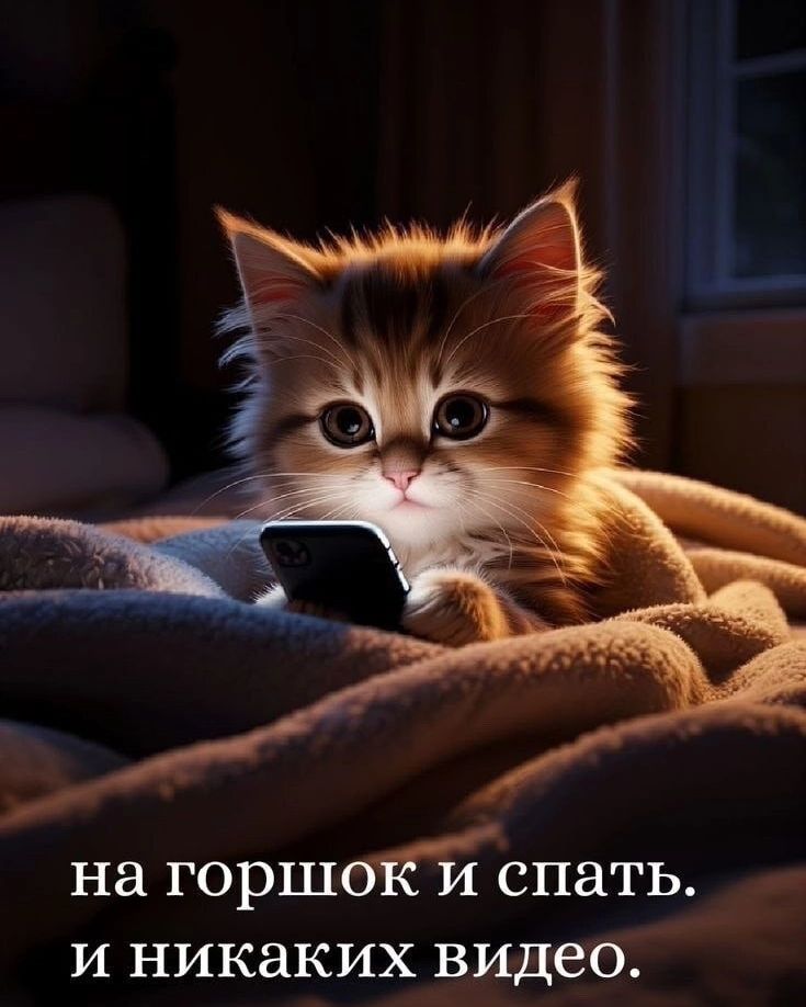 на горшок и спать. и никаких видео.