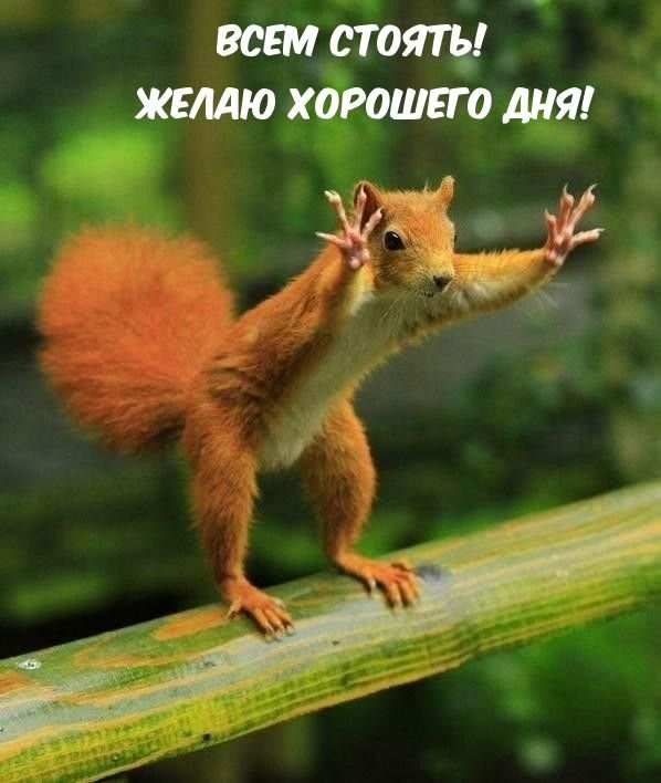 ВСЕМ СТОЯТЬ! ЖЕЛАЮ ХОРОШЕГО ДНЯ!