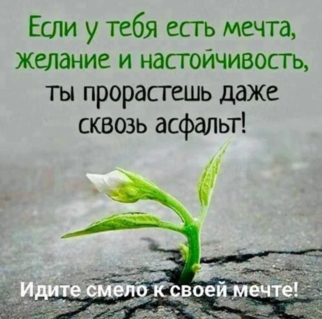 Если у тебя есть мечта, желание и настойчивость, ты прорастешь даже сквозь асфальт! Идите смело к своей мечте!