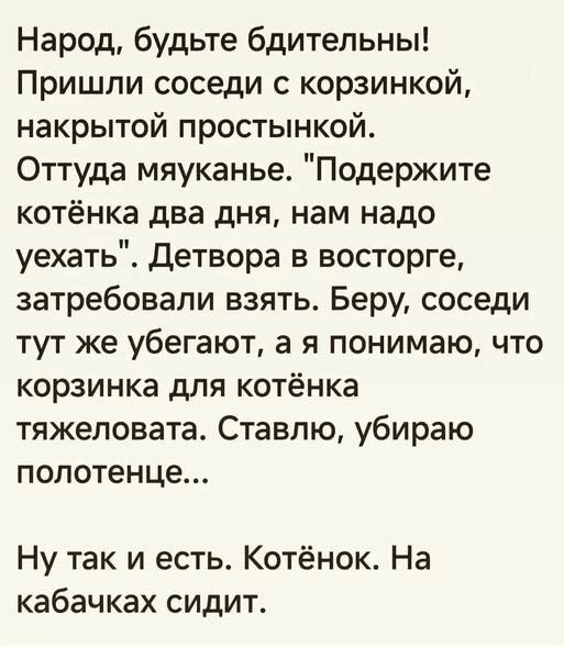 Народ, будьте бдительны! Пришли соседи с корзинкой, накрытой простынкой. Оттуда мяуканье. 