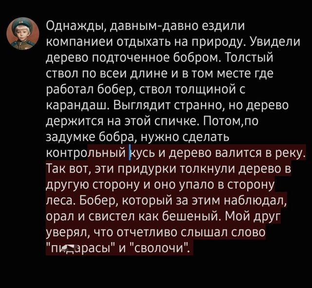 Однажды, давным-давно ездили компанией отдыхать на природу. Увидели дерево подточенное бобром. Толстый ствол по всей длине и в том месте где работал бобер, ствол толщиной с карандаш. Выглядит странно, но дерево держится на этой спичке. Потом,по задумке бобра, нужно сделать контрольный кусь и дерево валится в реку. Так вот, эти придурки толкнули