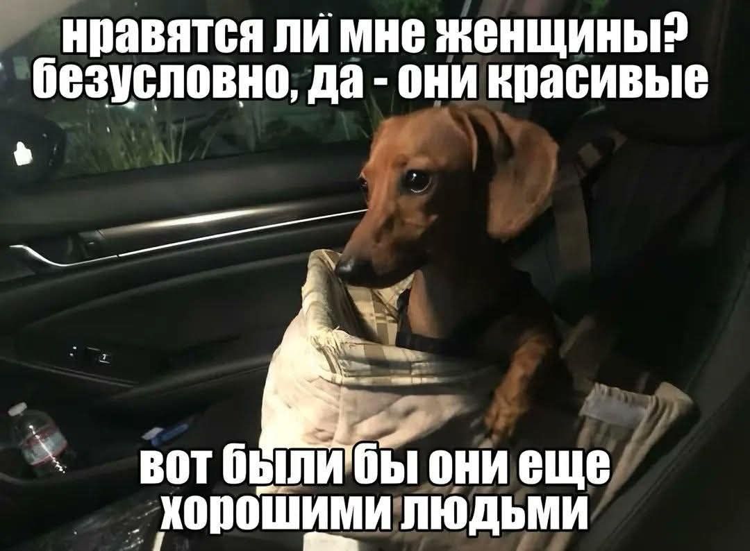 нравятся ли мне женщины? безусловно, да - они красивые. вот были бы они еще хорошими людьми