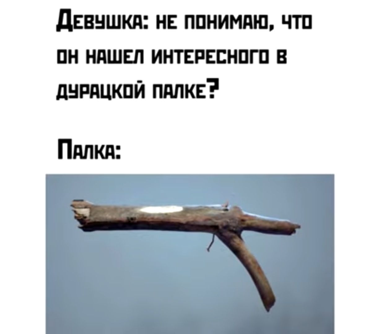 ДЕВУШКА: НЕ ПОНИМАЮ, ЧТО ОН НАШЕЛ ИНТЕРЕСНОГО В ДУРАЦКОЙ ПАЛКЕ? ПАЛКА: