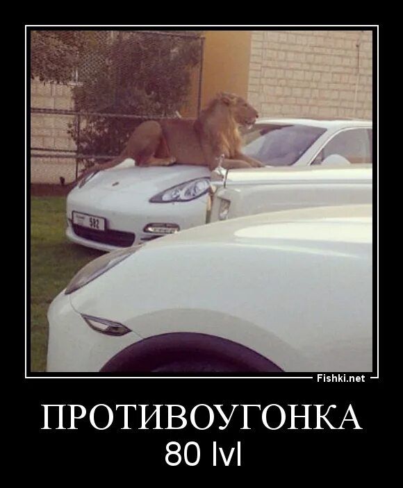ПРОТИВОУГОНКА 80 lvl