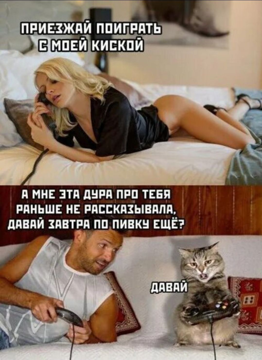 ПРИЕЗЖАЙ ПОИГРАТЬ С МОЕЙ КИСКОЙ А МНЕ ЭТА ДУРА ПРО ТЕБЯ РАНЬШЕ НЕ РАССКАЗЫВАЛА, ДАВАЙ ЗАВТРА ПО ПИВКУ ЕЩЁ? ДАВАЙ