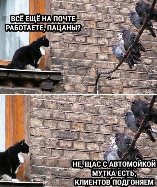 ВСЁ ЕЩЁ НА ПОЧТЕ РАБОТАЕТЕ, ПАЦАНЫ? НЕ, ЩАС С АВТОМОЙКОЙ МУТКА ЕСТЬ, КЛИЕНТОВ ПОДГОНЯЕМ