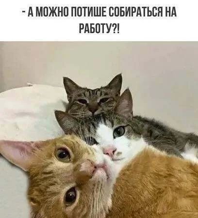А можно потише собираться на работу?!