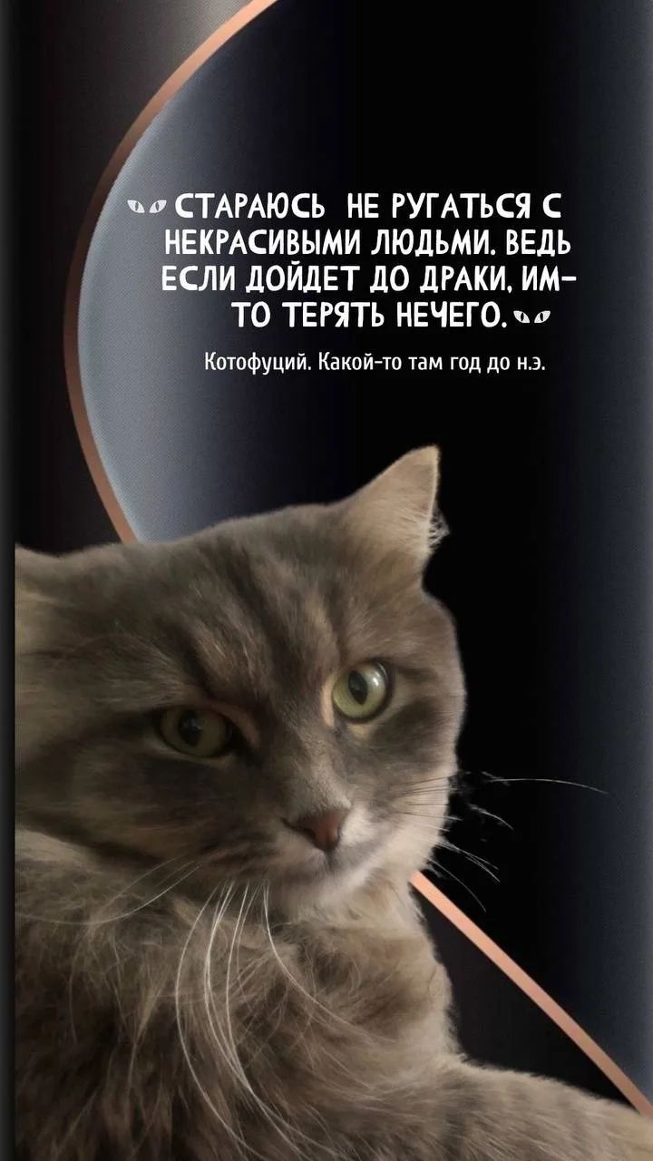 СТАРАЮСЬ НЕ РУГАТЬСЯ С НЕКРАСИВЫМИ ЛЮДЬМИ. ВЕДЬ ЕСЛИ ДОЙДЕТ ДО ДРАКИ, ИМ-ТО ТЕРЯТЬ НЕЧЕГО. Котофуций. Какой-то там год до н.э.