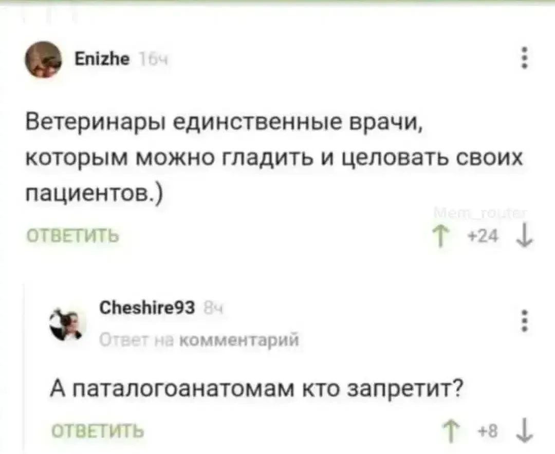 Enizhe 16ч Ветеринары единственные врачи, которым можно гладить и целовать своих пациентов.) ответить Cheshire93 8ч Ответ на комментарий А патологоанатомам кто запретит? ответить