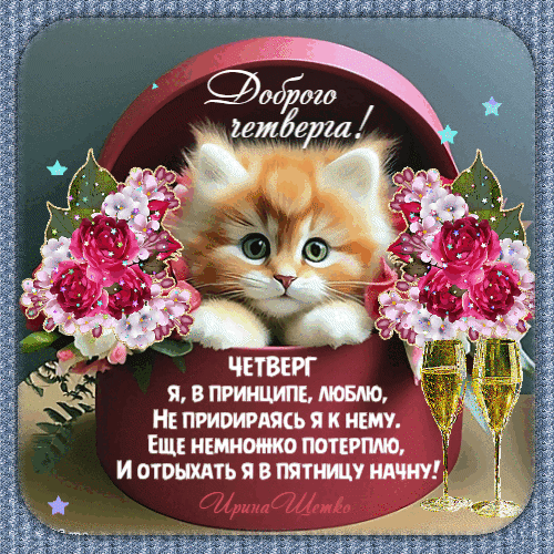 Доброго четверга!
ЧЕТВЕРГ
Я, В ПРИНЦИПЕ, ЛЮБЛЮ,
НЕ ПРИДИРАЯСЬ Я К НЕМУ.
ЕЩЕ НЕМНОЖКО ПОТЕРПЛЮ,
И ОТДЫХАТЬ Я В ПЯТНИЦУ НАЧНУ!
Ирина Щетко