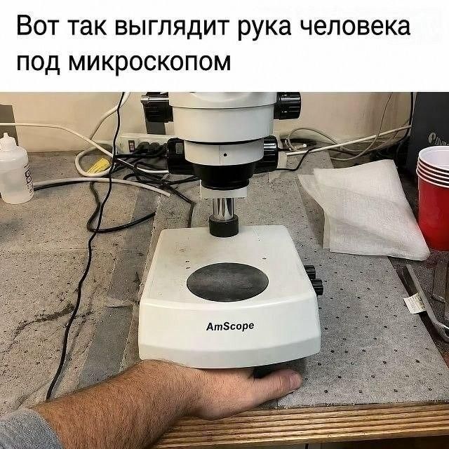 Вот так выглядит рука человека под микроскопом