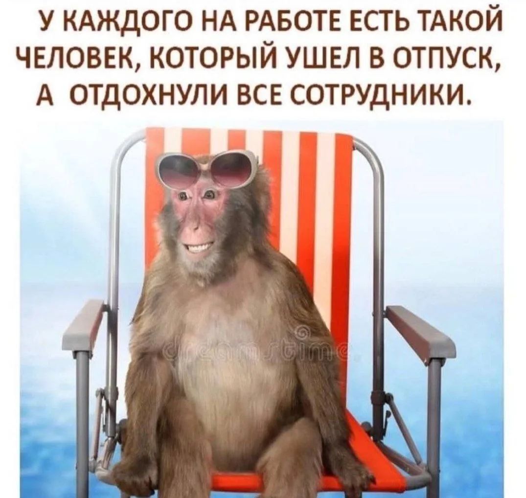 У КАЖДОГО НА РАБОТЕ ЕСТЬ ТАКОЙ ЧЕЛОВЕК, КОТОРЫЙ УШЕЛ В ОТПУСК, А ОТДОХНУЛИ ВСЕ СОТРУДНИКИ.