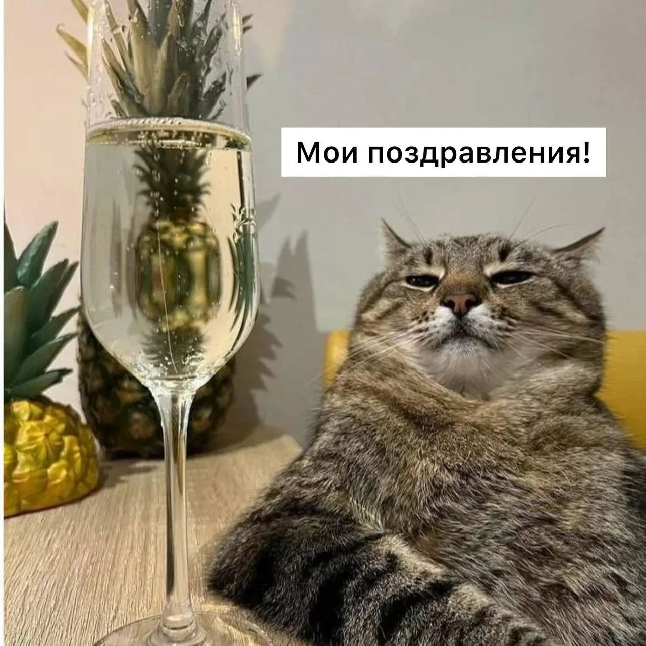 Мои поздравления!