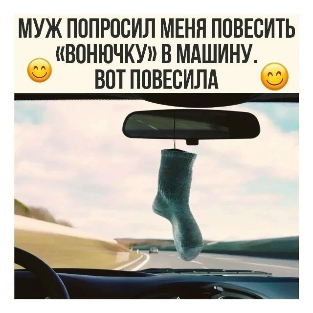 МУЖ ПОПРОСИЛ МЕНЯ ПОВЕСИТЬ «ВОНЮЧКУ» В МАШИНУ. ВОТ ПОВЕСИЛА