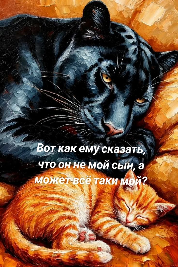 Вот как ему сказать, что он не мой сын, а может всё таки мой?
