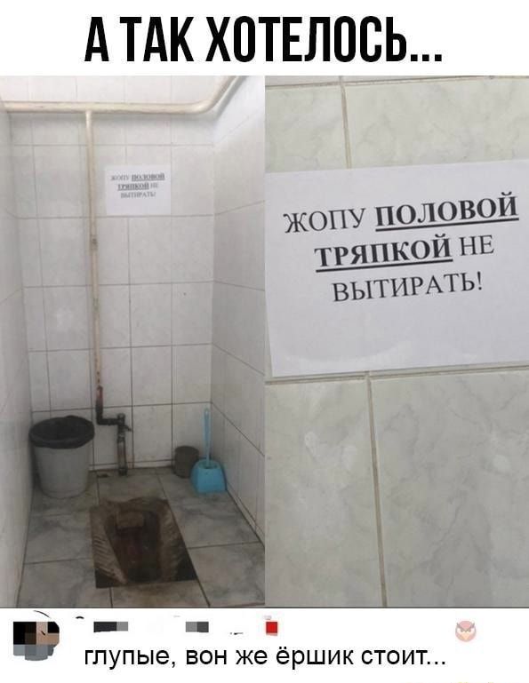 А так хотелось... Жопу половой тряпкой не вытирать! глупые, вон же ёршик стоит...