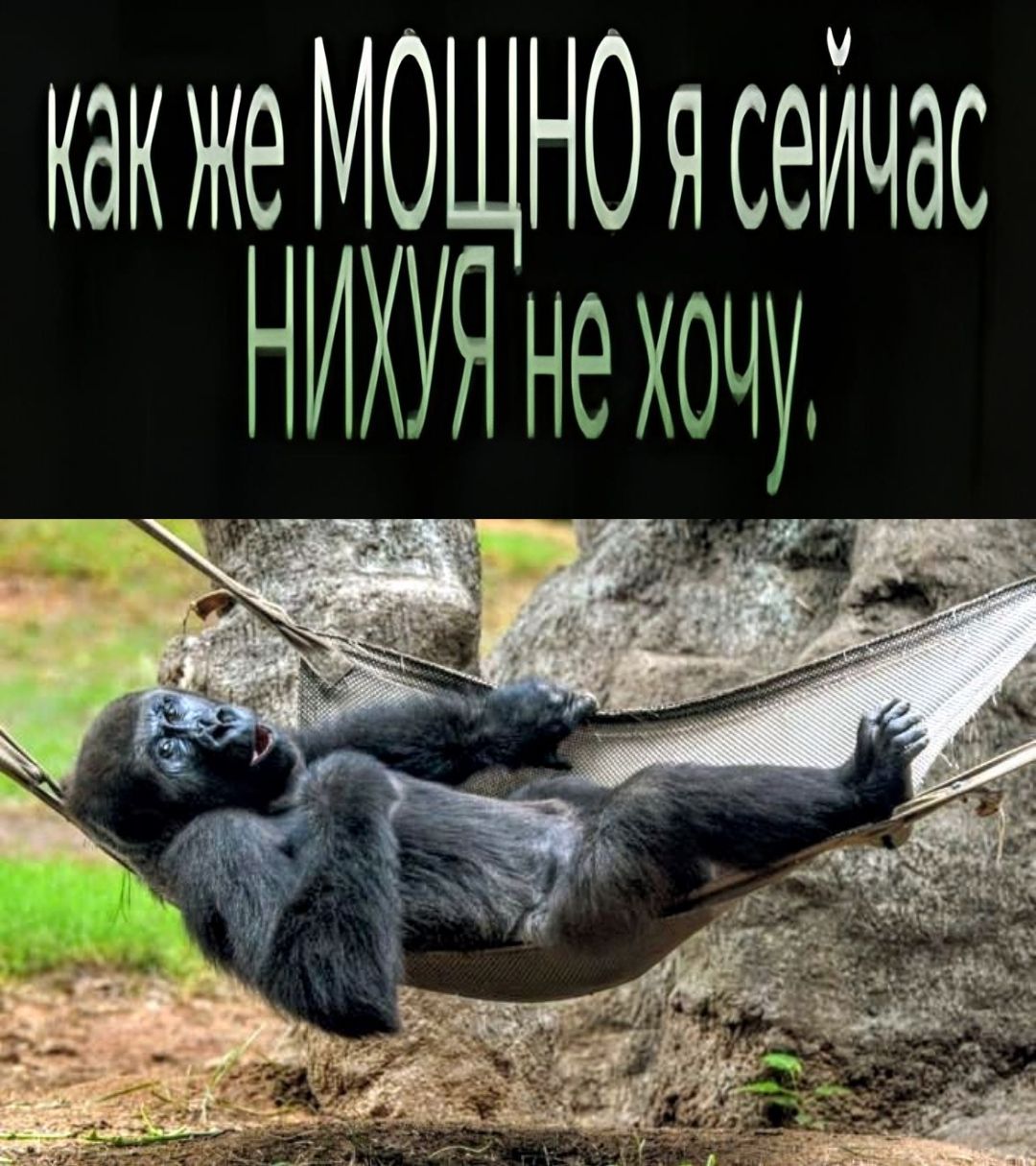 как же МОЩНО я сейчас НИХУЯ не хочу.