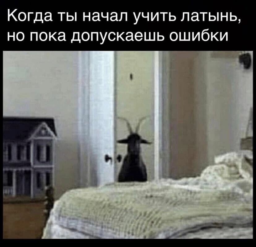 Когда ты начал учить латынь, но пока допускаешь ошибки