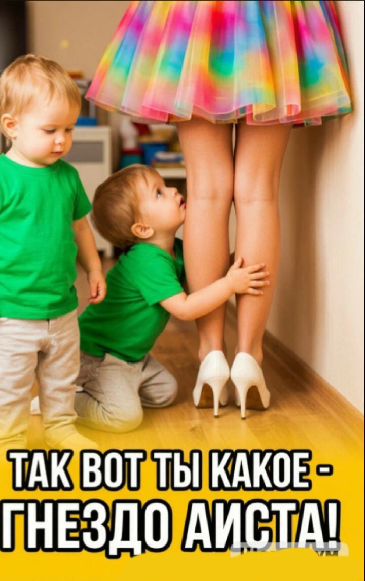 ТАК ВОТ ТЫ КАКОЕ - ГНЕЗДО АИСТА!