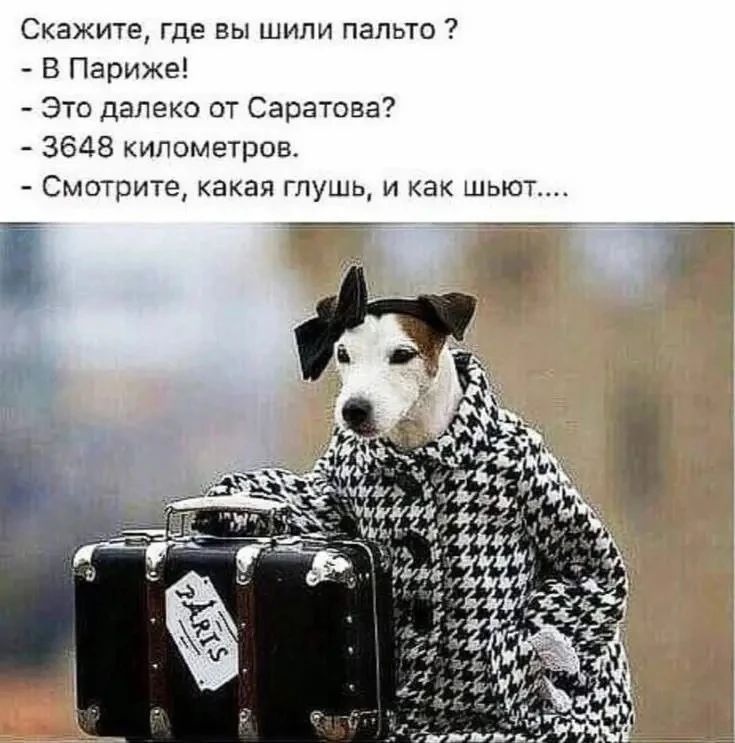 Скажите, где вы шили пальто? - В Париже! - Это далеко от Саратова? - 3648 километров. - Смотрите, какая глушь, и как шьют....