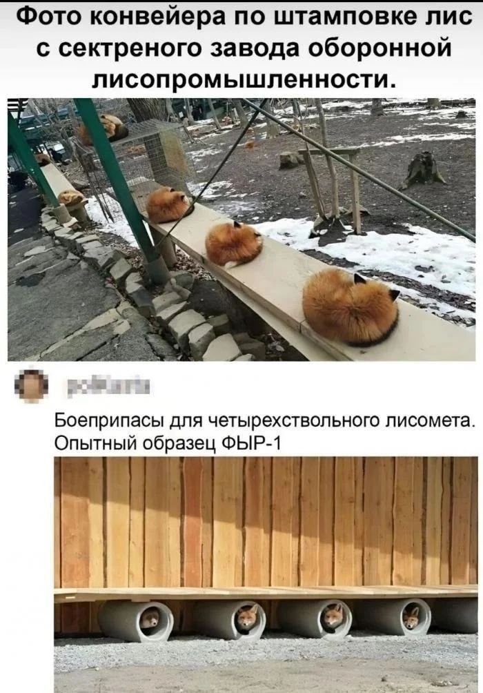 Фото конвейера по штамповке лис с сектреного завода оборонной лисопромышленности. Боеприпасы для четырехствольного лисомета. Опытный образец ФЫР-1