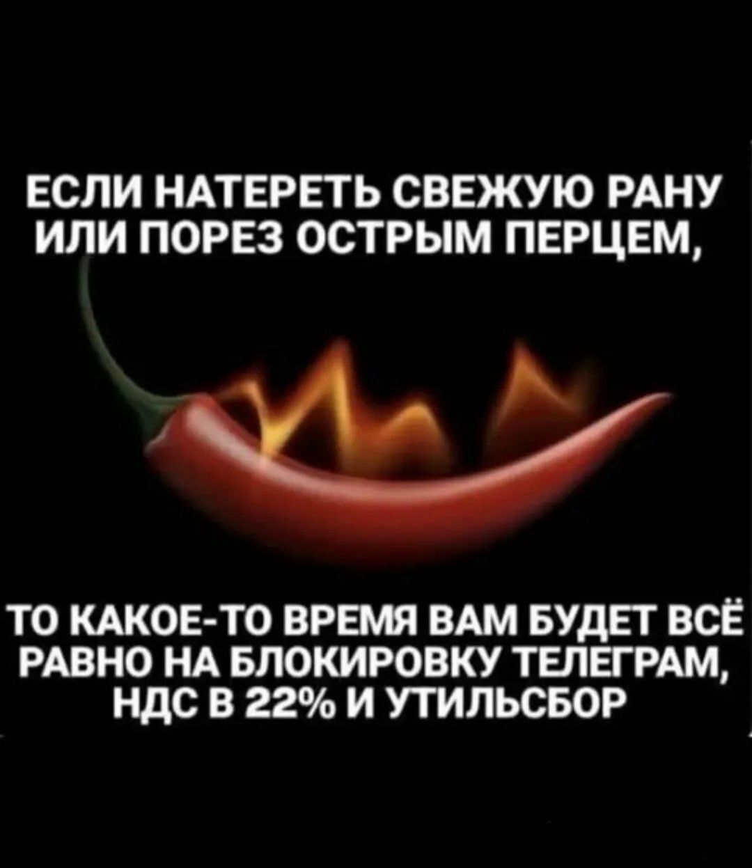 ЕСЛИ НАТЕРЕТЬ СВЕЖУЮ РАНУ ИЛИ ПОРЕЗ ОСТРЫМ ПЕРЦЕМ, ТО КАКОЕ-ТО ВРЕМЯ ВАМ БУДЕТ ВСЁ РАВНО НА БЛОКИРОВКУ ТЕЛЕГРАМ, НДС В 22% И УТИЛЬСБОР