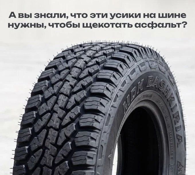 А вы знали, что эти усики на шине нужны, чтобы щекотать асфальт?