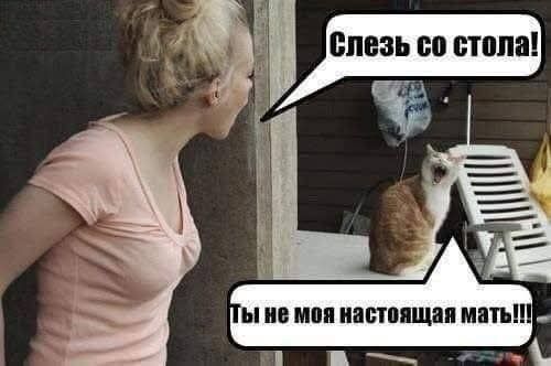 Слезь со стола! Ты не моя настоящая мать!!!