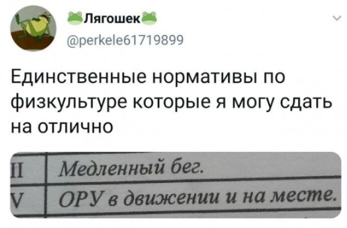 Лягошек @perkele61719899 Единственные нормативы по физкультуре которые я могу сдать на отлично II Медленный бег. V ОРУ в движении и на месте.