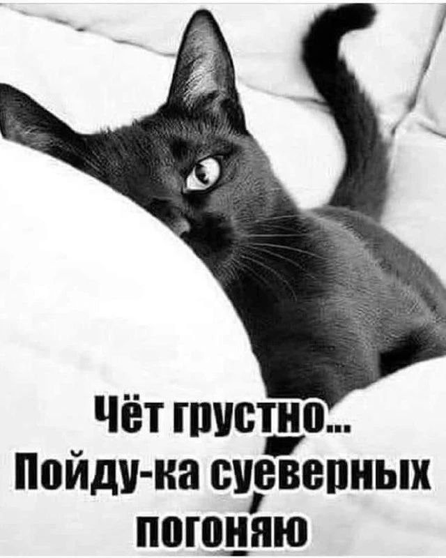 Чёт грустно... Пойду-ка суеверных погоняю