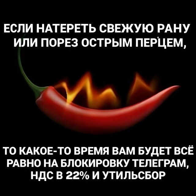 ЕСЛИ НАТЕРЕТЬ СВЕЖУЮ РАНУ ИЛИ ПОРЕЗ ОСТРЫМ ПЕРЦЕМ, ТО КАКОЕ-ТО ВРЕМЯ ВАМ БУДЕТ ВСЁ РАВНО НА БЛОКИРОВКУ ТЕЛЕГРАМ, НДС В 22% И УТИЛЬСБОР