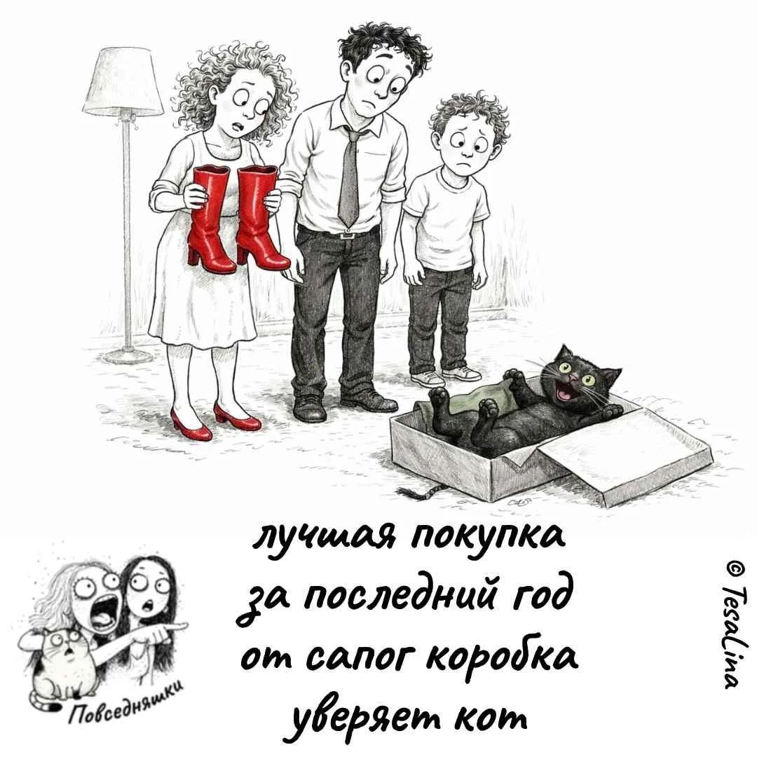 лучшая покупка за последний год от сапог коробка уверяет кот Повседневняшки © Tesalina