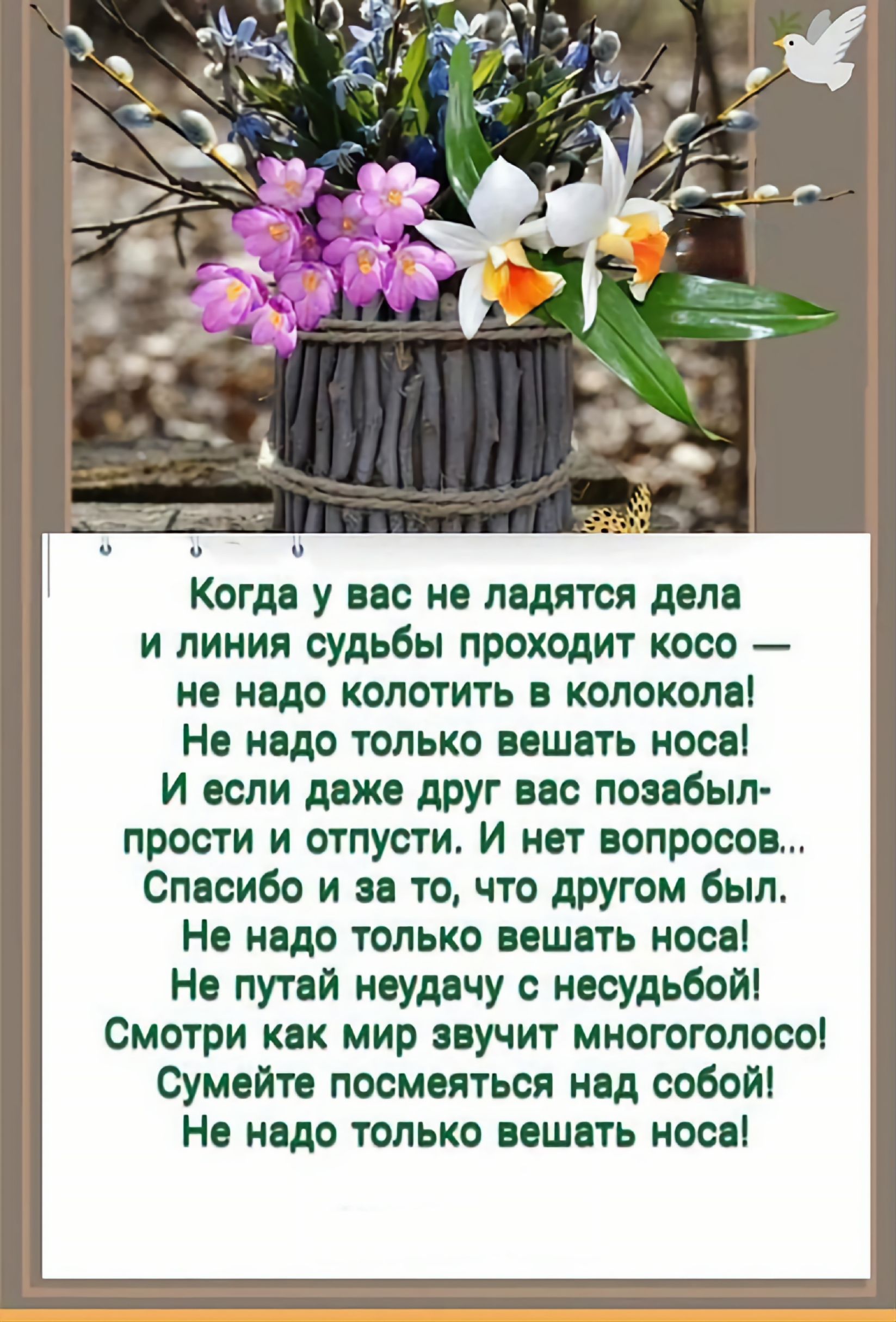 Когда у вас не ладятся дела и линия судьбы проходит косо — не надо колотить в колокола! Не надо только вешать носа! И если даже друг вас позабыл- прости и отпусти. И нет вопросов... Спасибо и за то, что другом был. Не надо только вешать носа! Не путай неудачу с несудьбой! Смотри как мир звучит многоголосо! Сумейте посмеяться над собой! Не надо