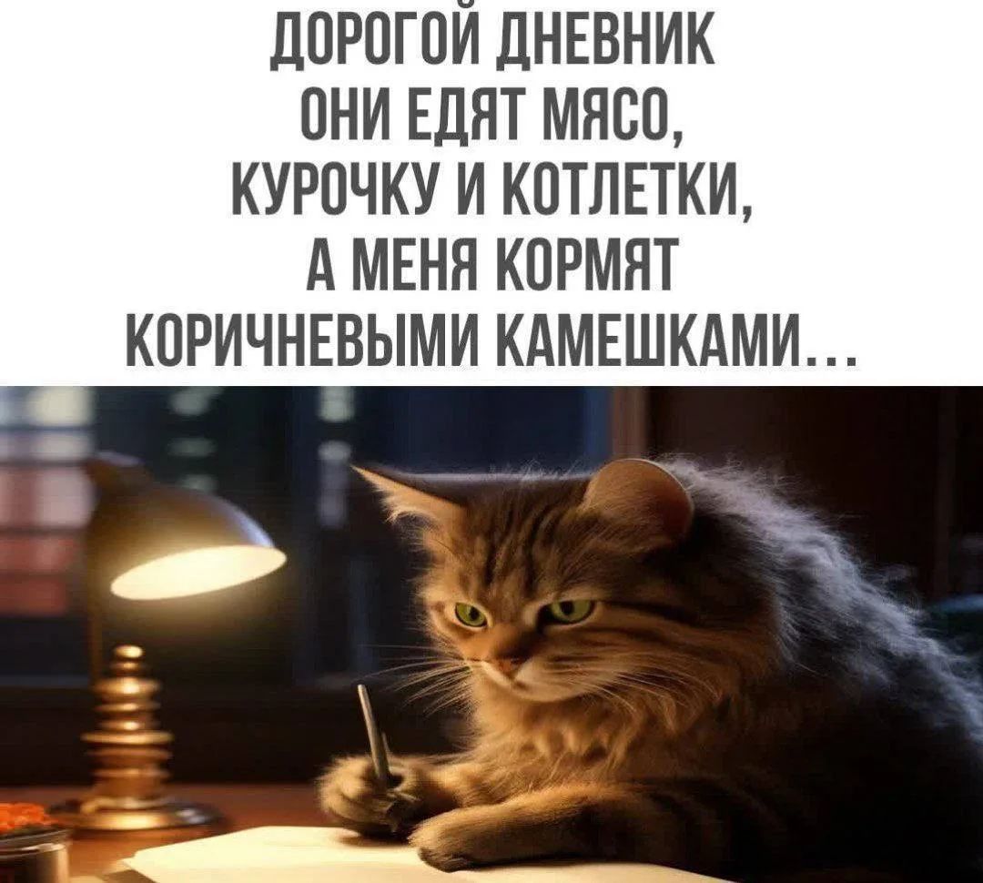 ДОРОГОЙ ДНЕВНИК ОНИ ЕДЯТ МЯСО, КУРОЧКУ И КОТЛЕТКИ, А МЕНЯ КОРМЯТ КОРИЧНЕВЫМИ КАМЕШКАМИ...