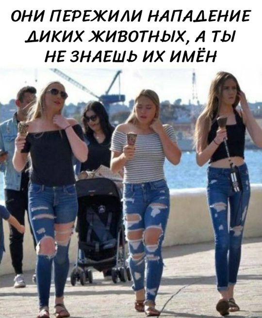 ОНИ ПЕРЕЖИЛИ НАПАДЕНИЕ ДИКИХ ЖИВОТНЫХ, А ТЫ НЕ ЗНАЕШЬ ИХ ИМЁН