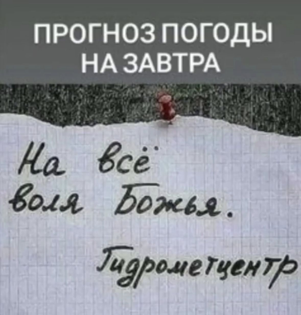 ПРОГНОЗ ПОГОДЫ НА ЗАВТРА. На всё воля Божья. Гидрометцентр