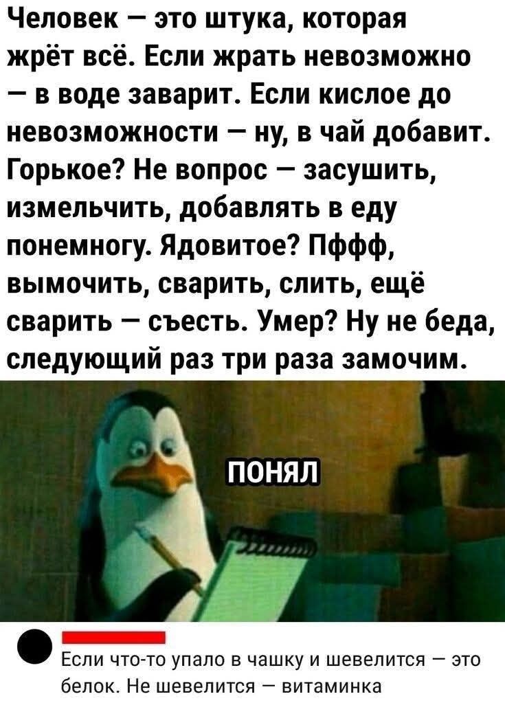 Человек — это штука, которая жрёт всё. Если жрать невозможно — в воде заварит. Если кислое до невозможности — ну, в чай добавит. Горькое? Не вопрос — засушить, измельчить, добавлять в еду понемногу. Ядовитое? Пффф, вымочить, сварить, слить, ещё сварить — съесть. Умер? Ну не беда, следующий раз три раза замочим.
ПОНЯЛ
Если что-то упало в чашку и