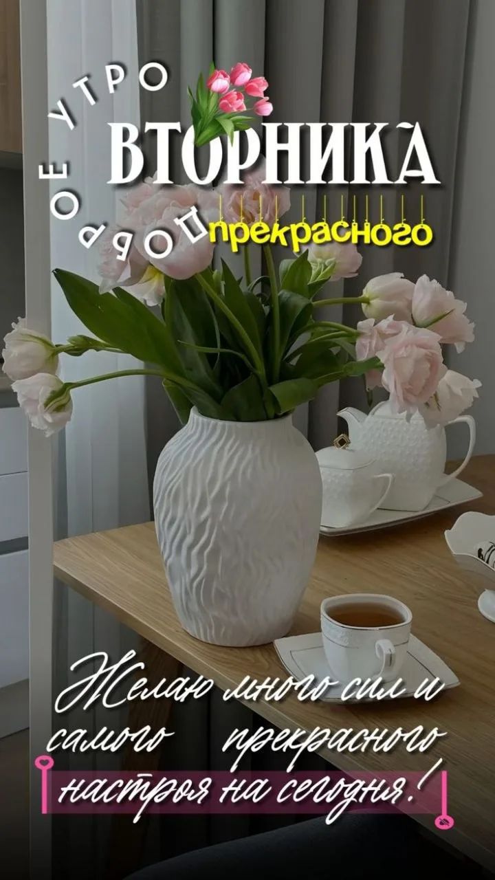 УТРО ПРЕКРАСНОГО ВТОРНИКА Желаю много сил и самого прекрасного настроя на сегодня!