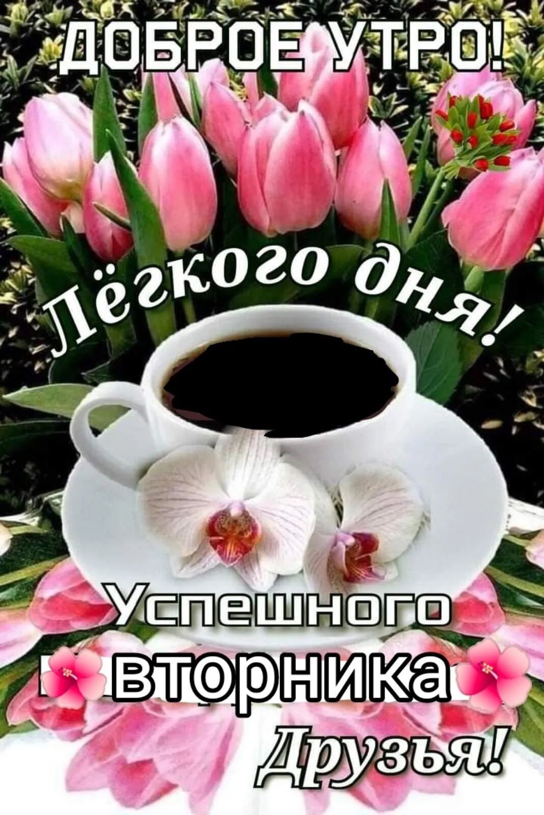 ДОБРОЕ УТРО! Лёгкого дня! Успешного вторника, друзья!