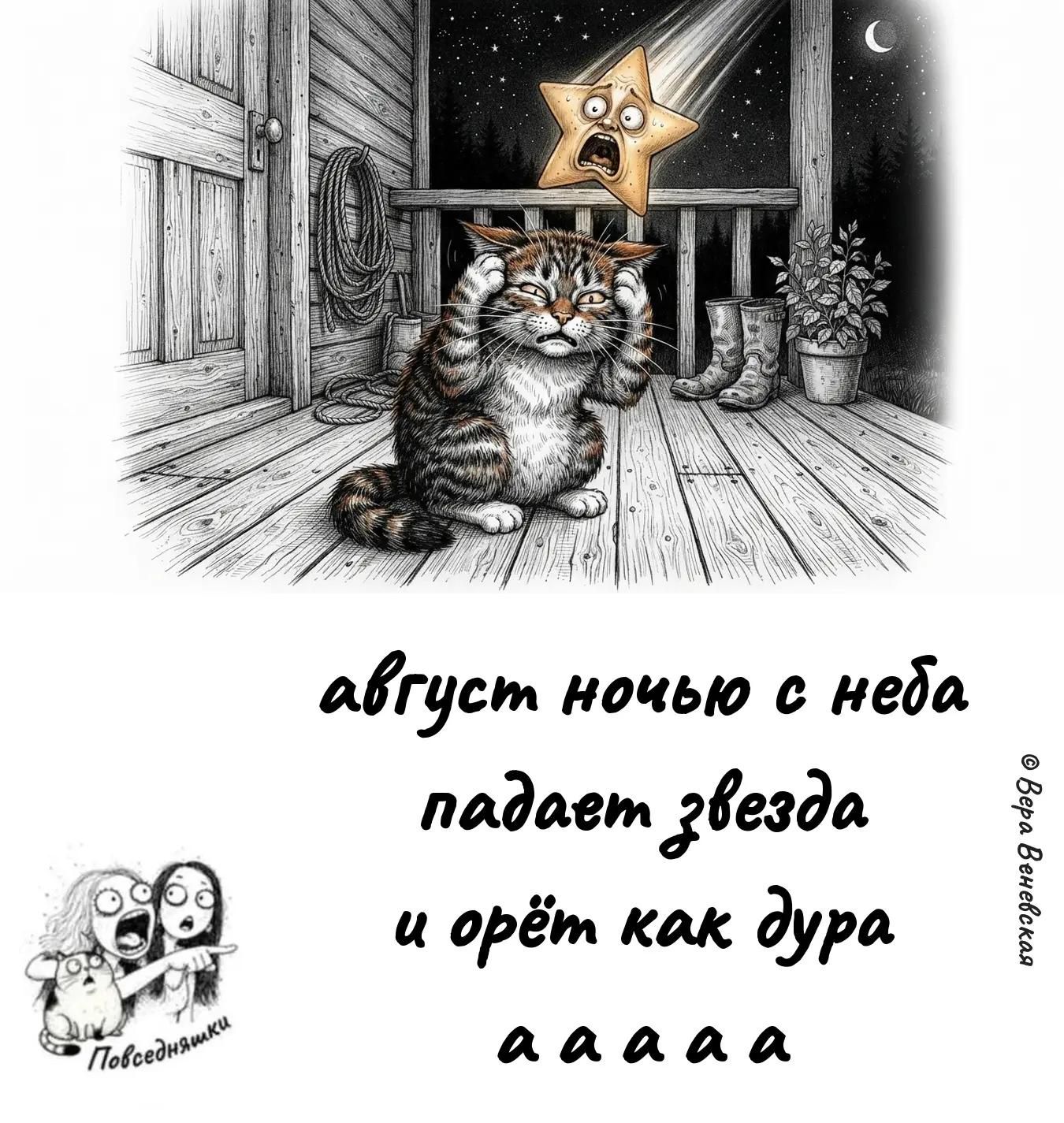 август ночью с неба падает звезда и орёт как дура а а а а