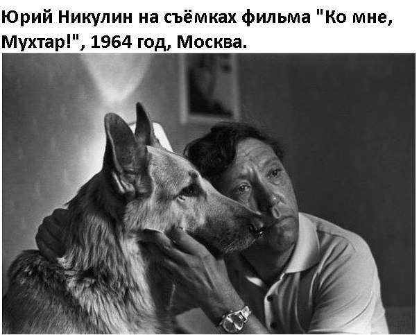 Юрий Никулин на съёмках фильма Ко мне Мухтар 1964 год Москва