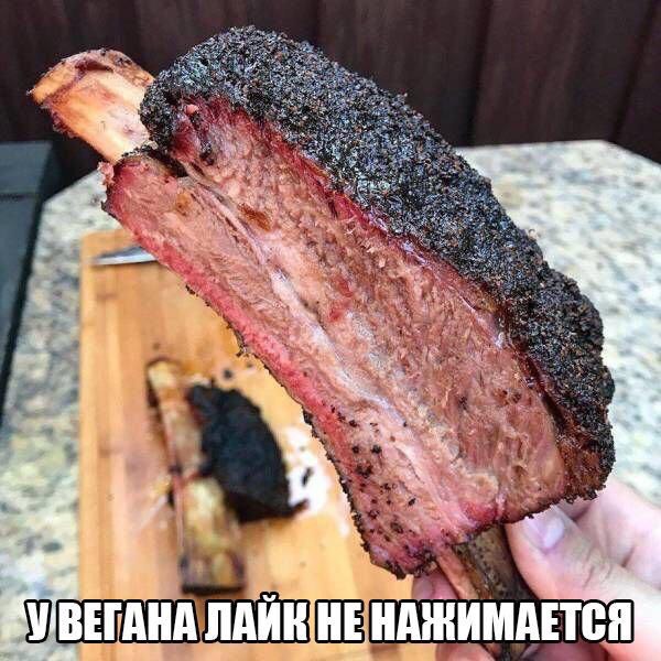 Ш ШЁНАШИМАЕТВП