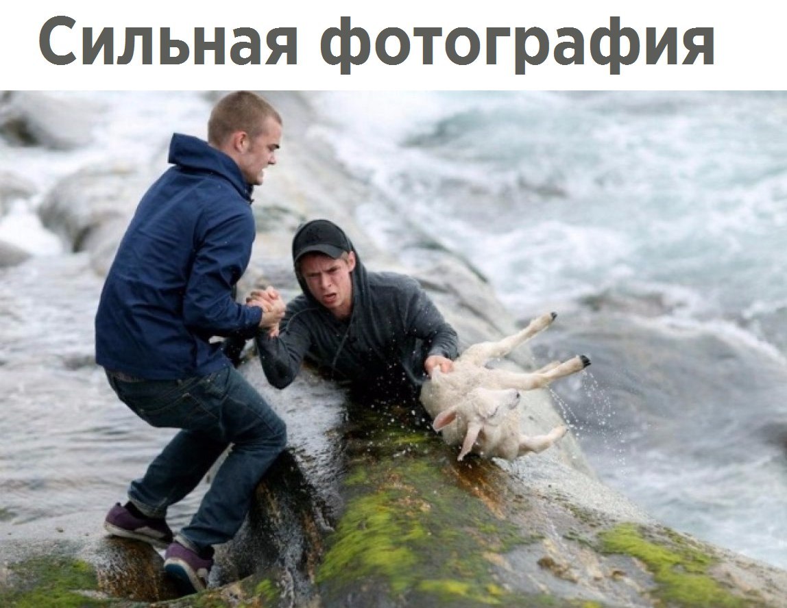 Сильная фотография